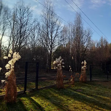 Bursztynowy Tatil Evi *
