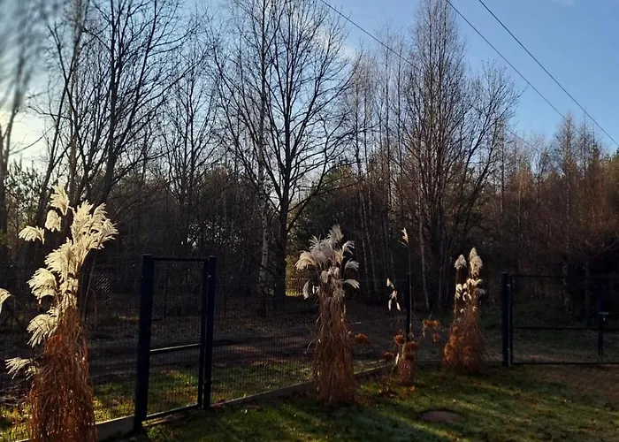 Bursztynowy Nyaraló *